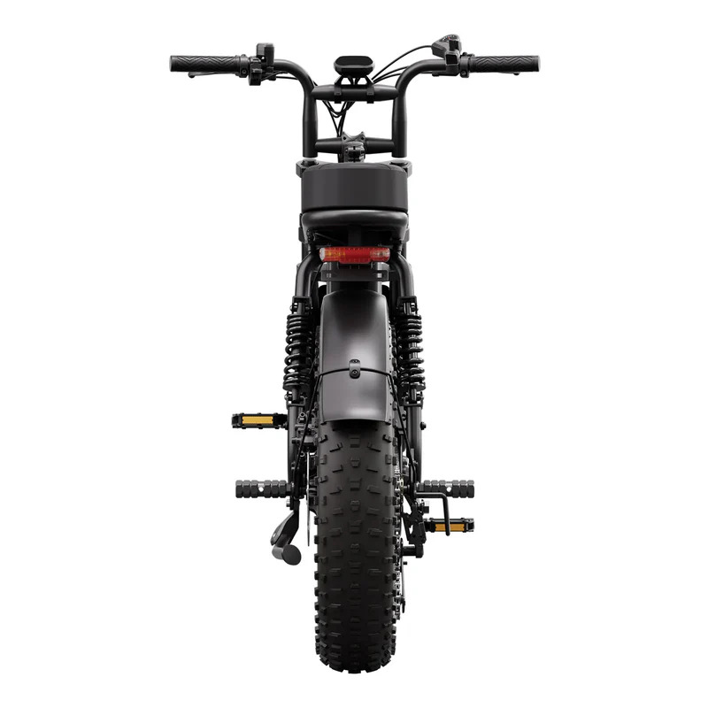 SAIBIKE TERETNI BICIKL NOSIVOST 200KG - Slika 2