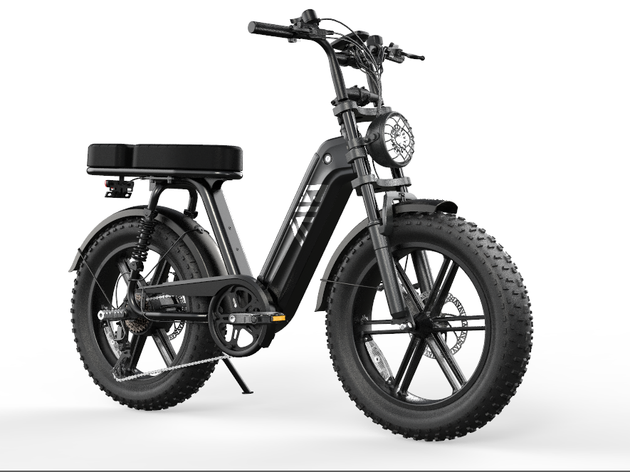 SAIBIKE TERETNI BICIKL NOSIVOST 200KG - Slika 21