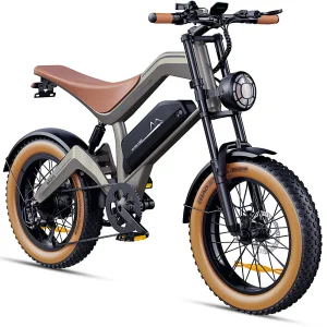 ZONVEER ELEKTRIČNI MOTOCROS BICIKL 750W
